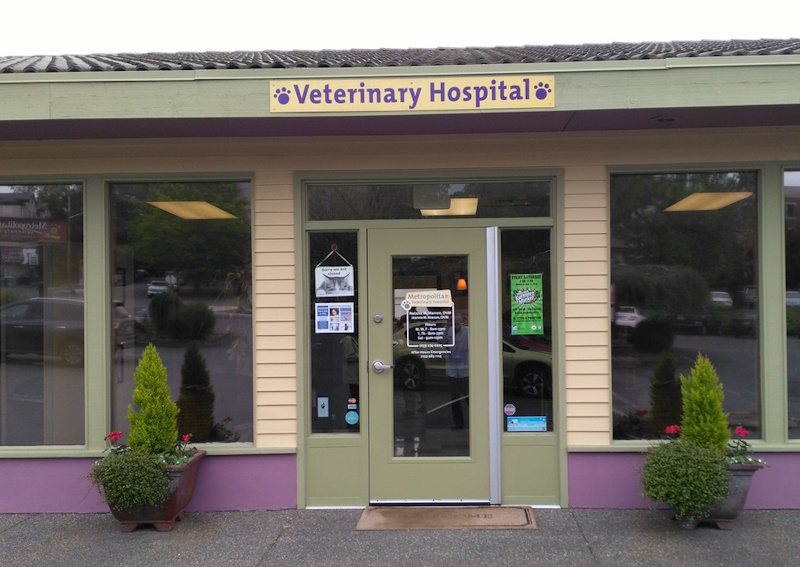 Carousel Slide 2: Learn more about Metropolitan Veterinary Hospital