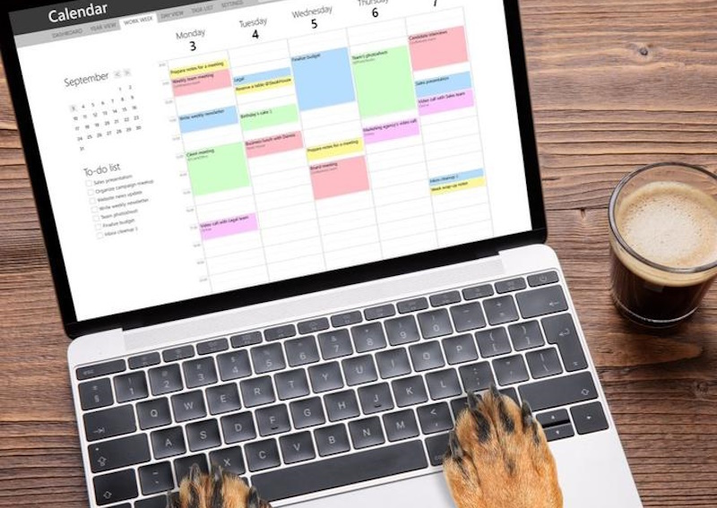 Carousel Slide 3: Download our app for appointments, refills, and more!