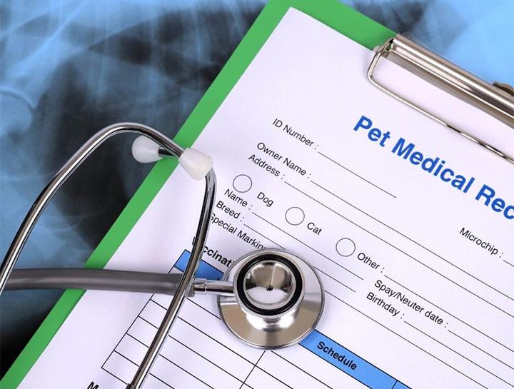 Pet Portal Metropolitan Veterinary Hospital