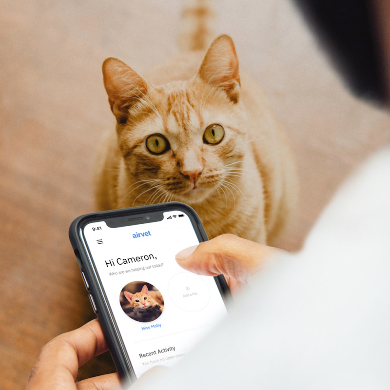 Airvet allows teletriage for virtual after-hours care